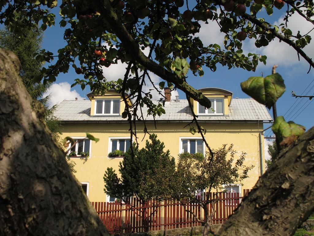 Dum U Sipku Hotel Krasna Lipa Exterior photo